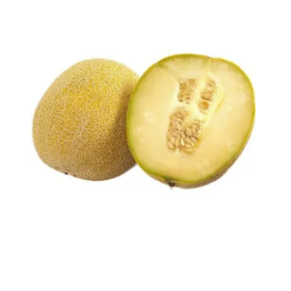Melon Galia 1 szt.