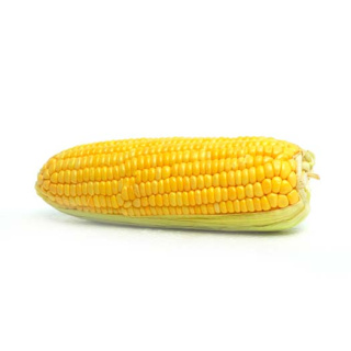 Kukurydza świeża kolba 1 szt.
