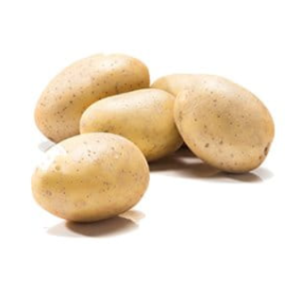 Ziemniaki młode Spunta 1,5 kg